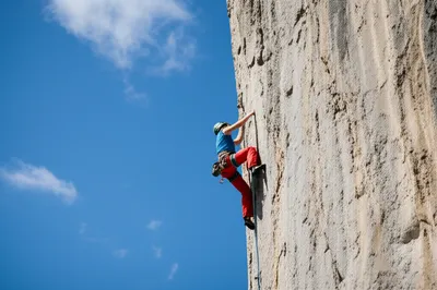 Illustration singular - Image 1