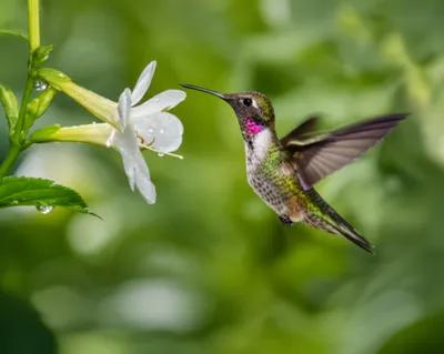 Illustration flits - Image 1