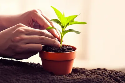 Illustration intending - Image 1