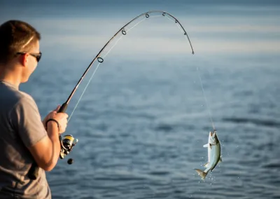 Illustration reeling - Image 1