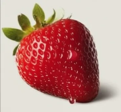 Illustration bloods - Image 1