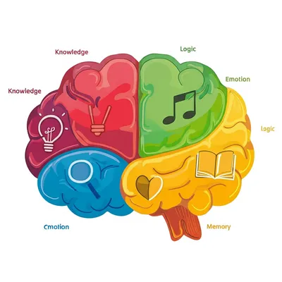 Illustration cells - Image 1