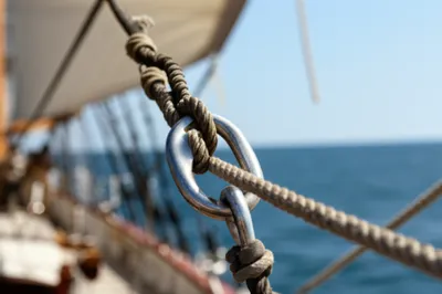 Illustration traveler - Image 1