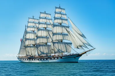 Illustration master - Image 1