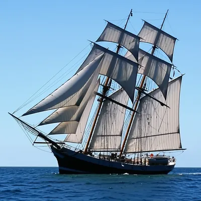 Illustration braced - Image 1