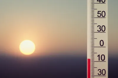 Illustration lowered - Image 1