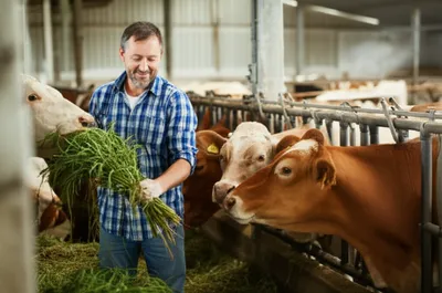 Illustration soil - Image 1