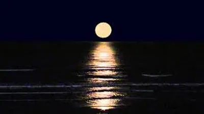 Illustration set - Image 2