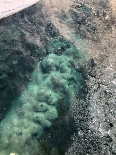 Illustration crystallizing - Image 2