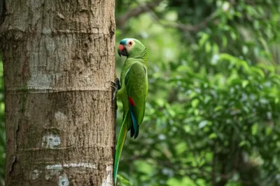 Illustration climber - Image 1