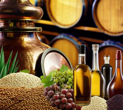 Illustration liquor - Image 1