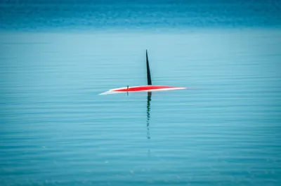 Illustration keeled - Image 1