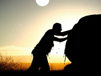 Illustration toiled - Image 1