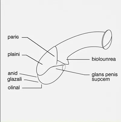 Illustration knob - Image 1