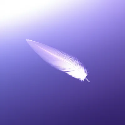 Illustration drifts - Image 1