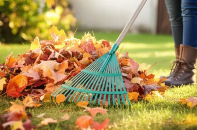 Illustration raking - Image 1