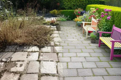 Illustration renovate - Image 1