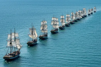 Illustration wing - Image 1