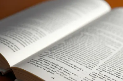 Illustration verso - Image 1