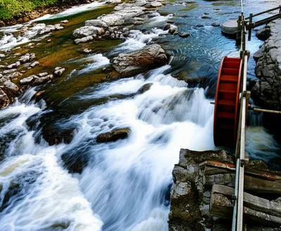 Illustration race - Image 1