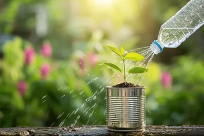 Illustration economies - Image 1