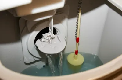 Illustration flapper - Image 1