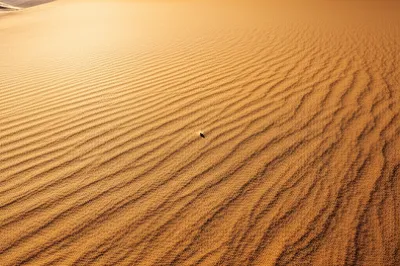 Illustration tittle - Image 1