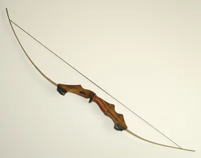 Illustration limb - Image 1