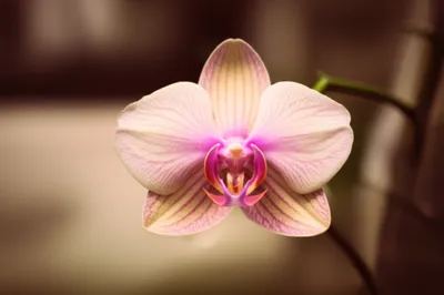 Illustration looks - Image 1