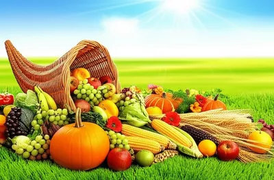 Illustration fullest - Image 2