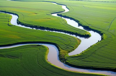 Illustration bottoms - Image 2