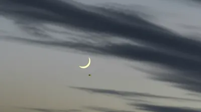 Illustration wane - Image 1