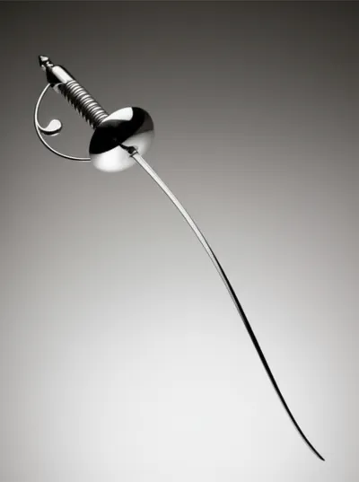 Illustration saber - Image 1