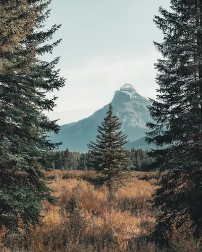 Illustration views - Image 2