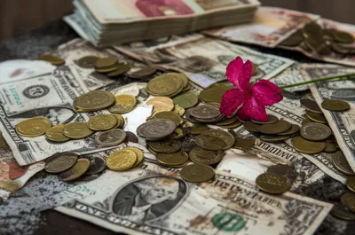 Illustration mucks - Image 1