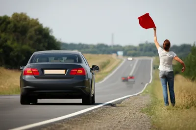 Illustration flags - Image 1