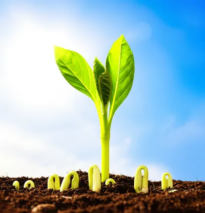 Illustration spires - Image 1