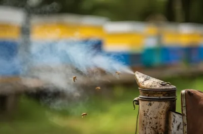 Illustration smokers - Image 1