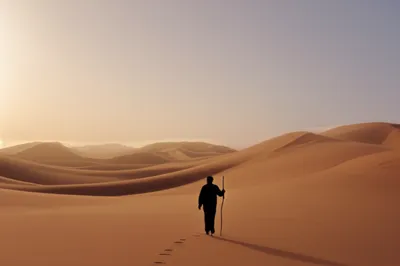 Illustration passengers - Image 1