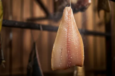 Illustration bloating - Image 1