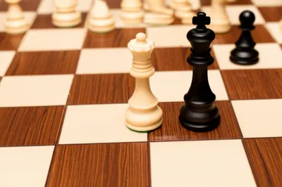 Illustration sacrifice - Image 1