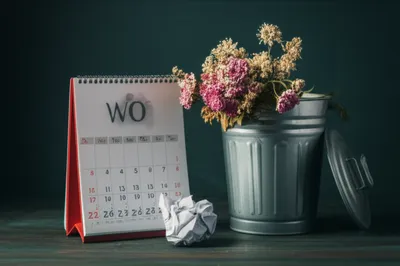 Illustration yesterday - Image 1