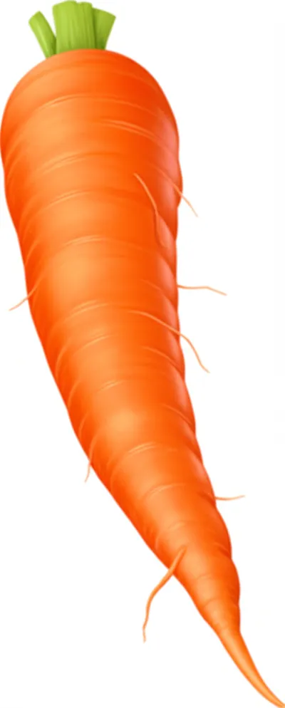 Illustration carrot - Image 1