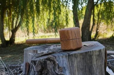 Illustration sally - Image 1