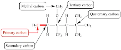 Illustration primary - Image 3