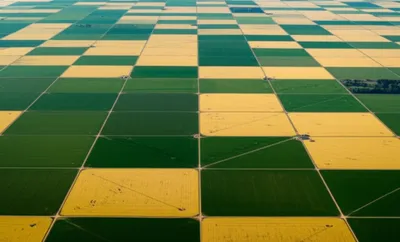 Illustration section - Image 1