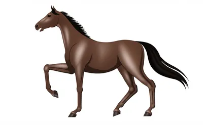 Illustration mount - Image 1