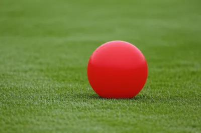 Illustration borrows