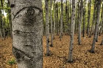 Illustration eye - Image 2