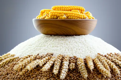 Illustration staple - Image 1